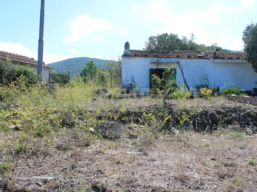 Immagine 5 di Rustico / casale in vendita  in via cannatelli 56 a Monte Argentario