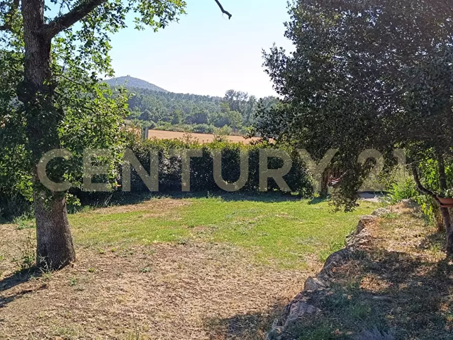 Immagine 34 di Rustico / casale in vendita  a Manciano