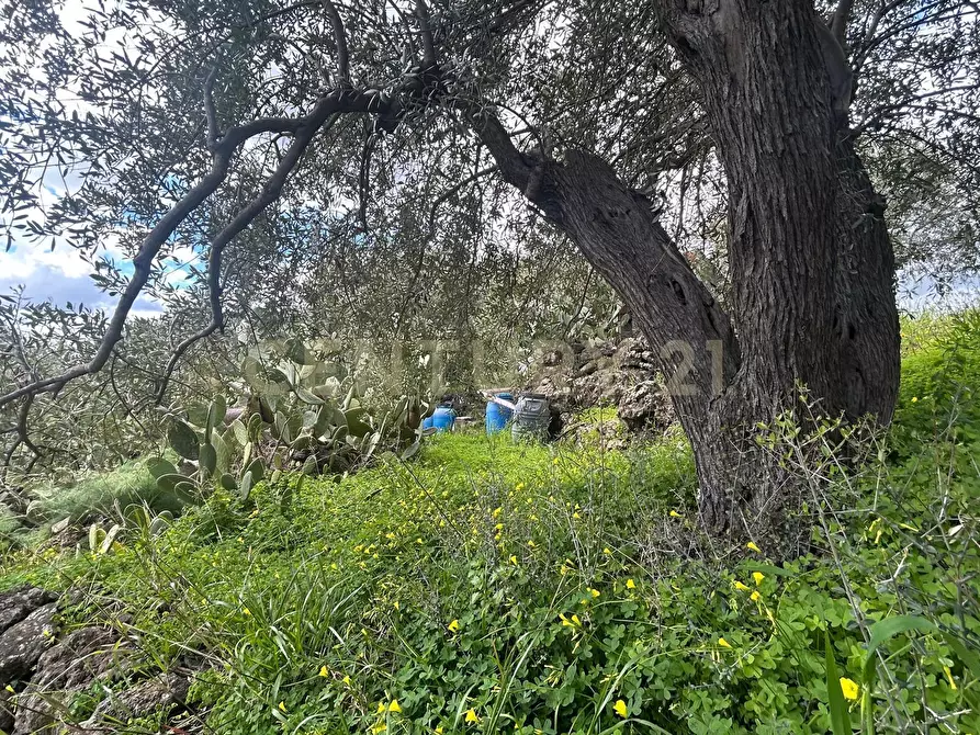 Immagine 14 di Terreno edificabile in vendita  in Viale Giovanni Falcone 9 a Camporotondo Etneo
