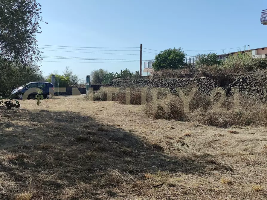 Immagine 18 di Terreno agricolo in vendita  in CONTRADA RACCOMANDATA a Misterbianco
