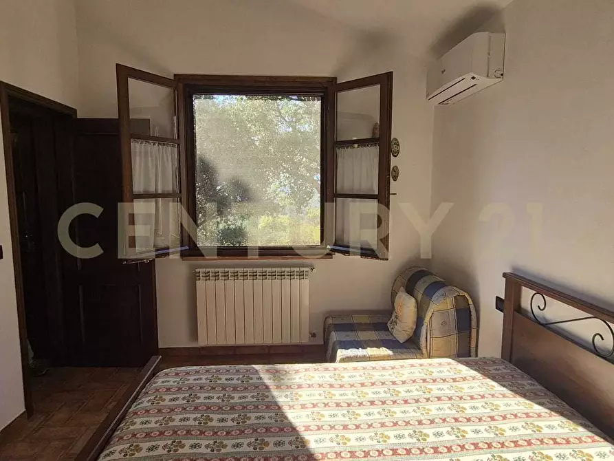 Immagine 15 di Azienda agricola in vendita  in località poggio al capraio snc a Roccastrada