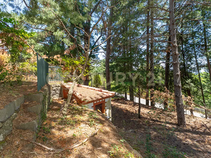 Immagine 17 di Villa in affitto  in Strada Regionale Mareneve SNC a Linguaglossa