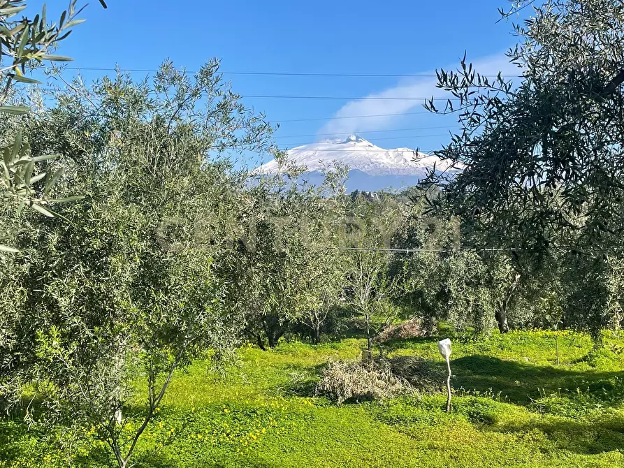 Immagine 51 di Terreno agricolo in vendita  in contrada agnelleria a Belpasso