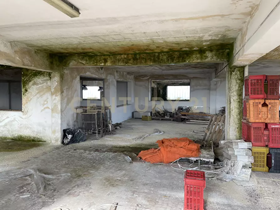 Immagine 91 di Attività artigianale in vendita  in Via Santisi a Motta D'affermo