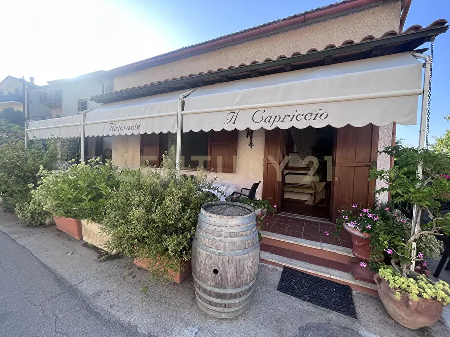 Immagine 1 di Bar / Ristorante in vendita  in Località Poggio Murella 55 a Manciano