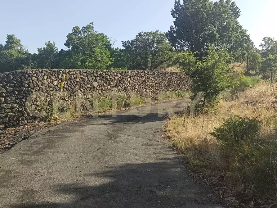 Immagine 48 di Terreno agricolo in vendita  in C.da Filiciusa a Biancavilla