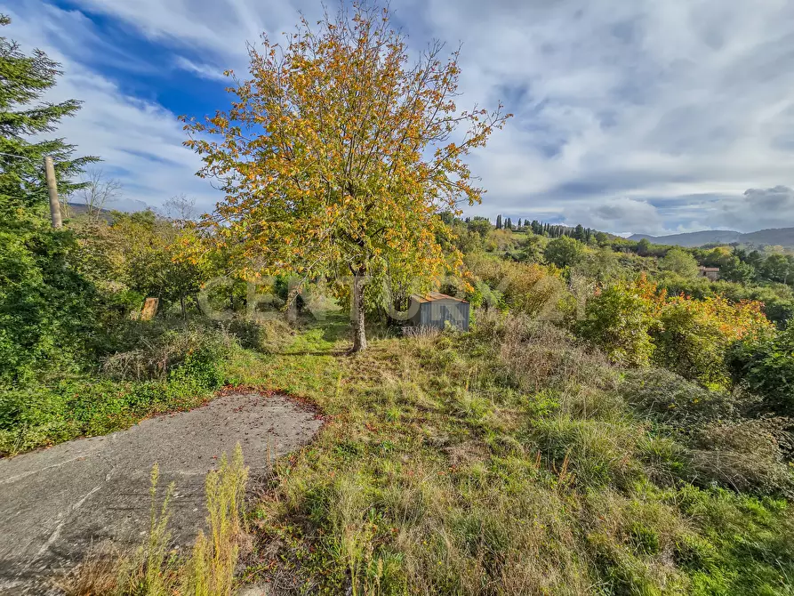 Immagine 9 di Rustico / casale in vendita  in la serra 57 a Arcidosso