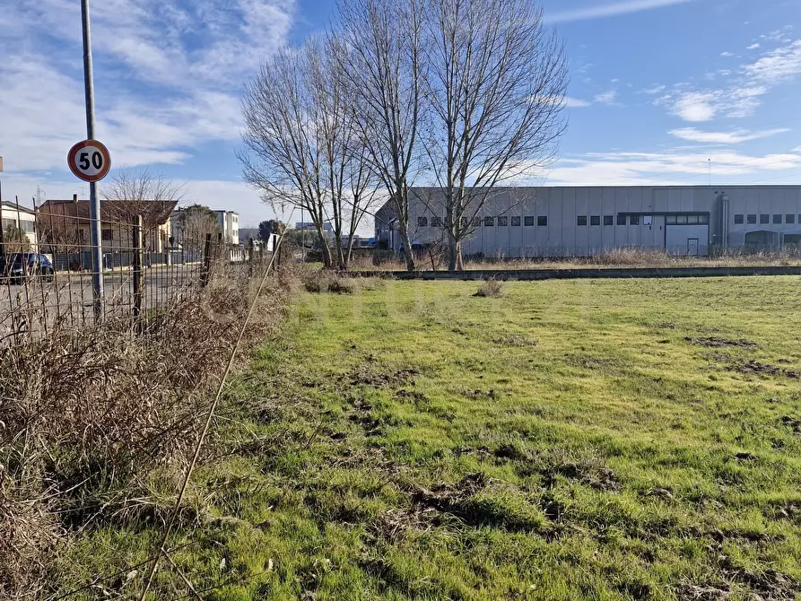 Immagine 10 di Terreno industriale in vendita  in Via Torino 5B a Cerea
