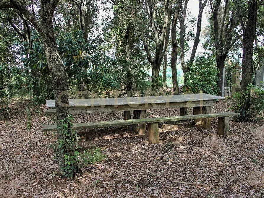 Immagine 8 di Rustico / casale in vendita  in Località Preselle sp 159 a Scansano