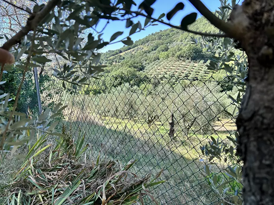 Immagine 24 di Rustico / casale in vendita  in Strada Provinciale Voltina 12 a Cinigiano