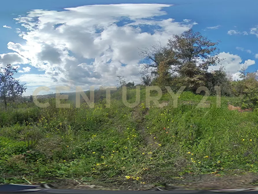 Immagine 38 di Terreno agricolo in vendita  in via giuseppe zinghirino 1 a Giarre