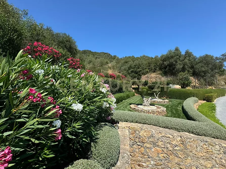 Immagine 7 di Porzione di casa in vendita  in Via degli Atleti a Monte Argentario