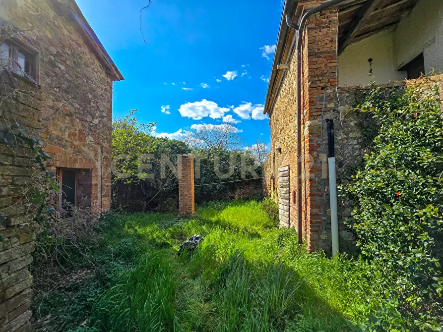 Immagine 24 di Rustico / casale in vendita  in Vial podere nuovo snc a Civitella Paganico