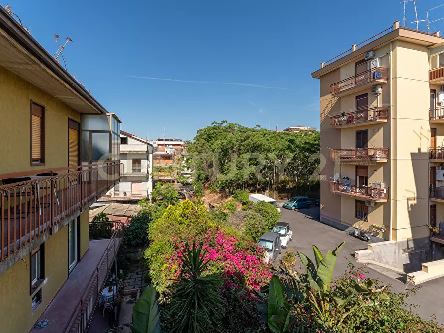 Immagine 18 di Quadrilocale in vendita  in Via Jacopo Vignerio 5 a Catania