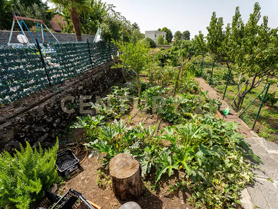 Immagine 32 di Villa in vendita  in Strada Provinciale 158 a Biancavilla