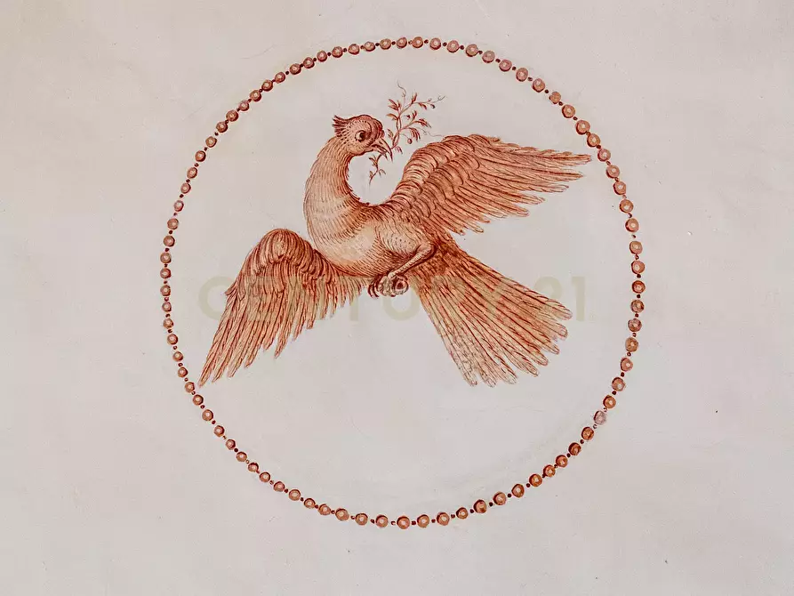 Immagine 33 di Villa in vendita  in Via Calvario 43 a Mascalucia