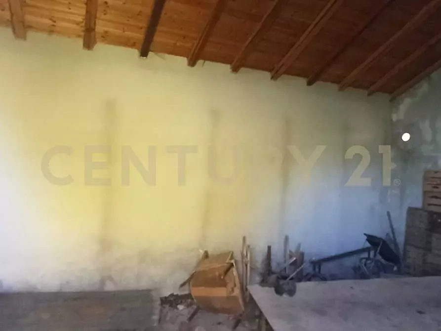 Immagine 4 di Terreno agricolo in vendita  in C.da Filiciusa a Biancavilla