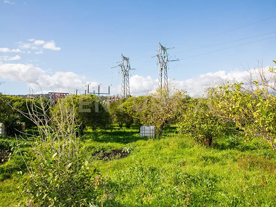 Immagine 25 di Terreno agricolo in vendita  in Via San Piero Patti 108 a Acireale