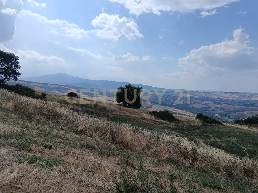 Immagine 12 di Terreno edificabile in vendita  in Località Podere Scarpetta 90 a Radicofani