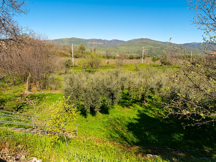 Immagine 43 di Villa in vendita  in Strada Comunale Calderara 5 a Randazzo