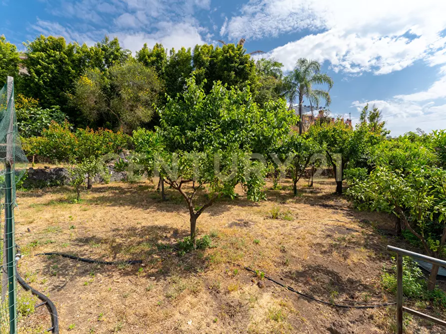 Immagine 29 di Villa in vendita  in Via Dietro Serra 2 a Viagrande