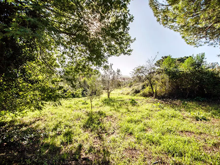 Immagine 38 di Casa bifamiliare in vendita  in Via Veientana 380D a Roma