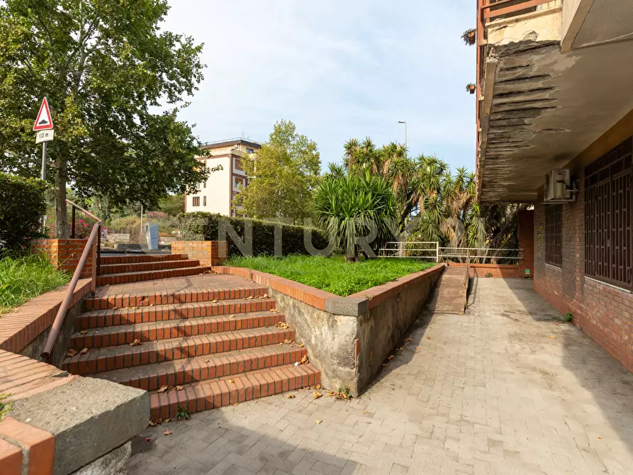 Immagine 5 di Pentalocale in vendita  in Viale Andrea Doria 13 a Catania