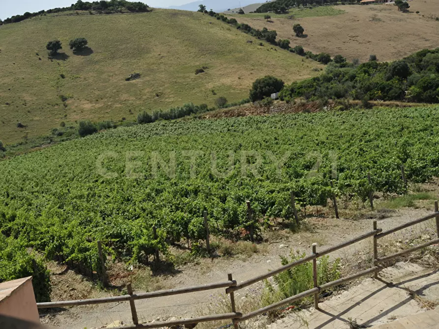 Immagine 59 di Villa in vendita  in Strada di Monte Bottigli a Grosseto