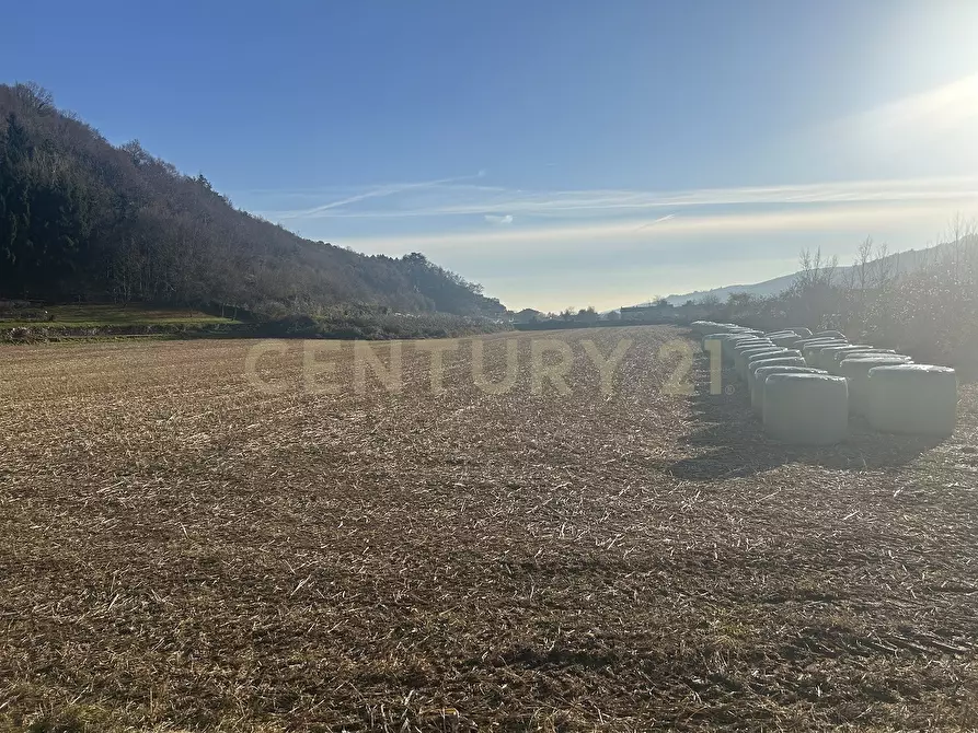 Immagine 3 di Terreno edificabile in vendita  in Via Don Giovanni Calabria 2 a Tregnago