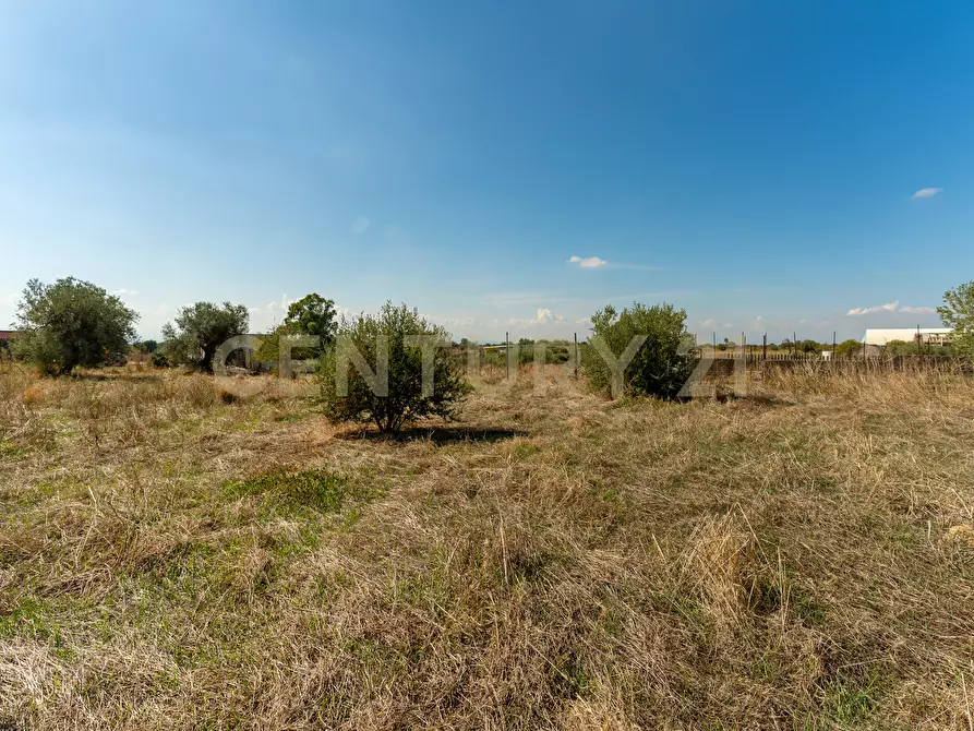 Immagine 6 di Terreno agricolo in vendita  in Via Margarone 5 a Motta Sant'anastasia