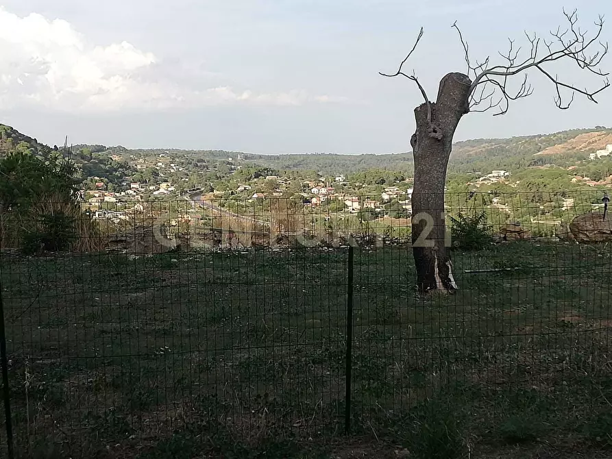 Immagine 3 di Terreno agricolo in vendita  in Contrada Piano Cannata Balatazza a Piazza Armerina