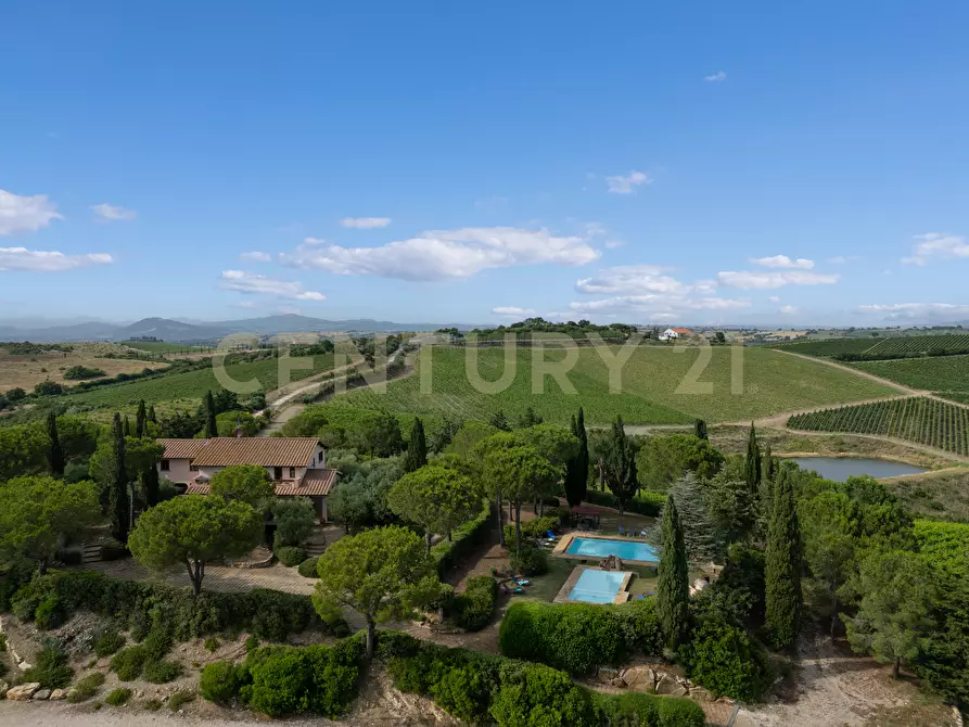Immagine 7 di Villa in vendita  in Strada di Monte Bottigli a Grosseto