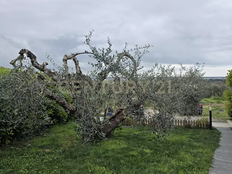 Immagine 27 di Casa trifamiliare in vendita  in Via della Vigna a Castiglione Della Pescaia