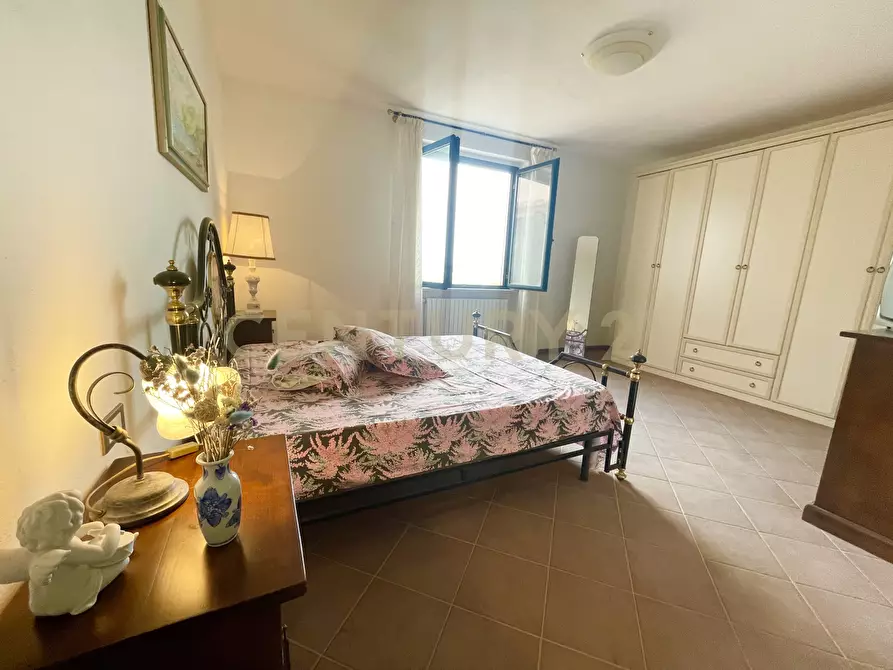 Immagine 34 di Azienda agricola in vendita  in località colle di lupo a Magliano In Toscana