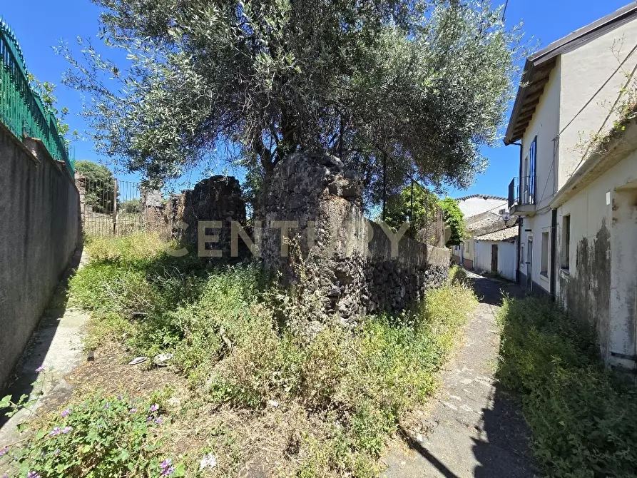 Immagine 29 di Terreno agricolo in vendita  in Vico Agatino De Marco a Gravina Di Catania