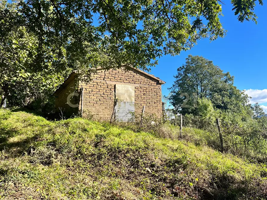 Immagine 2 di Rustico / casale in vendita  in strada vicinale petricci snc a Semproniano