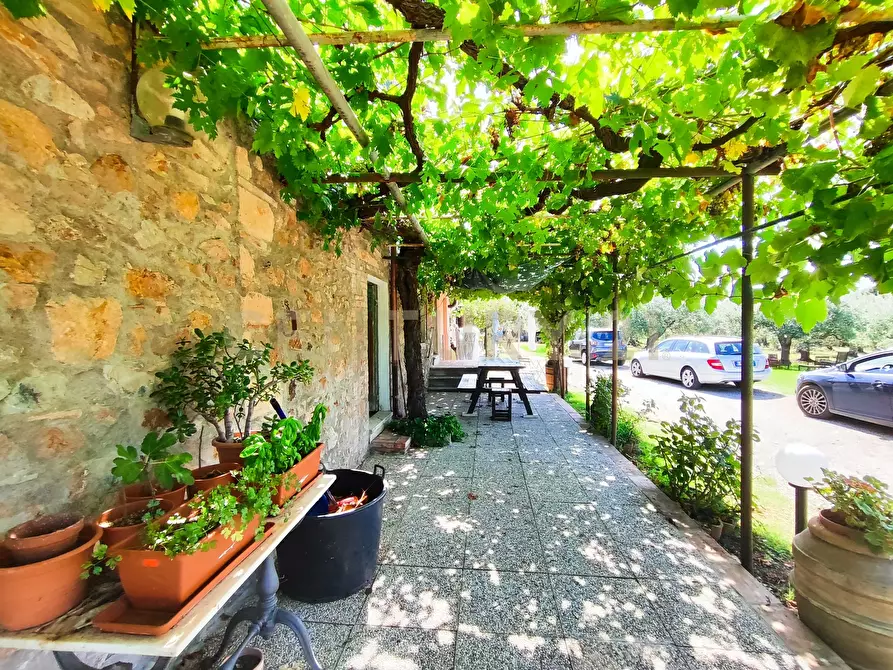 Immagine 5 di Rustico / casale in vendita  in località filare a Gavorrano
