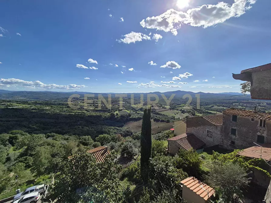 Immagine 20 di Appartamento in vendita  in Via del Borgo 25 a Civitella Paganico