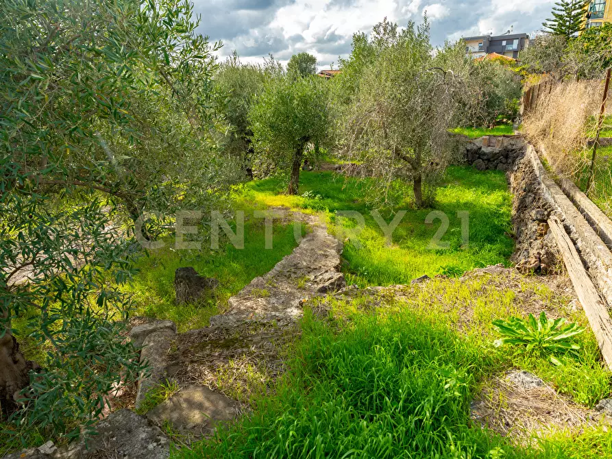 Immagine 30 di Terreno agricolo in vendita  in Via Cerza 35 a San Gregorio Di Catania