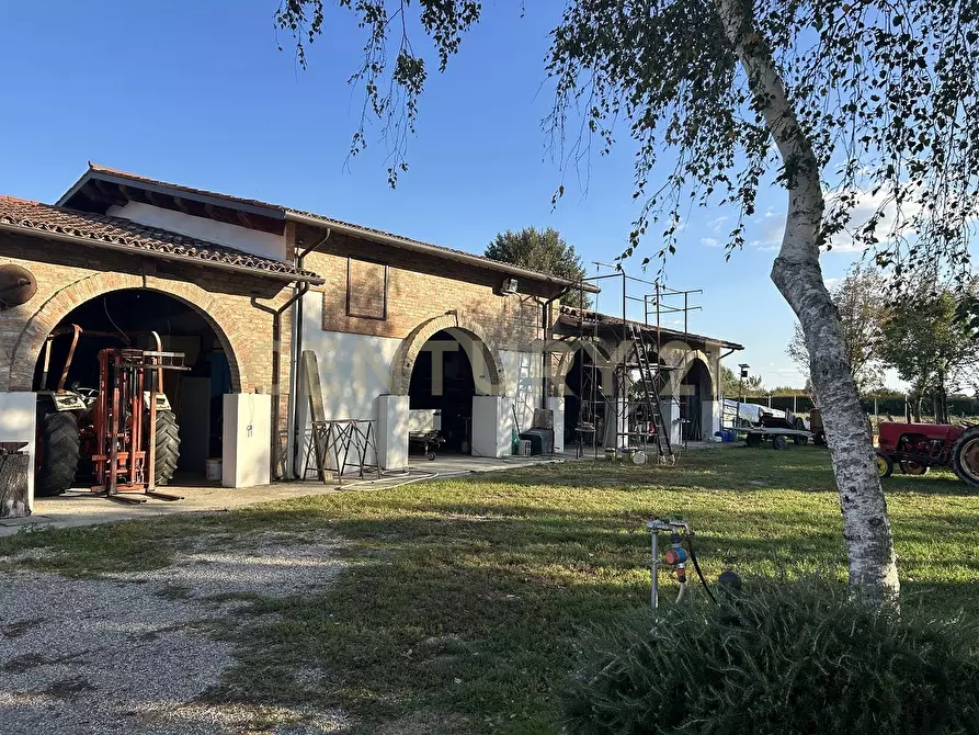 Immagine 39 di Rustico / casale in vendita  in Via Trento 70 a Minerbe