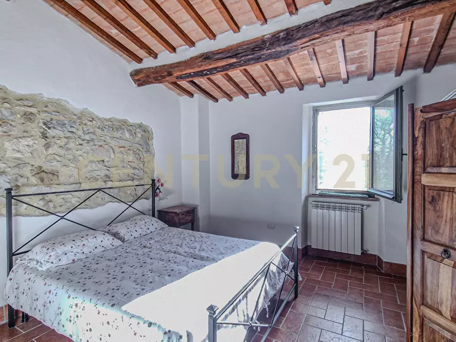 Immagine 21 di Terratetto in vendita  in Località Scovaventi 1 a Semproniano