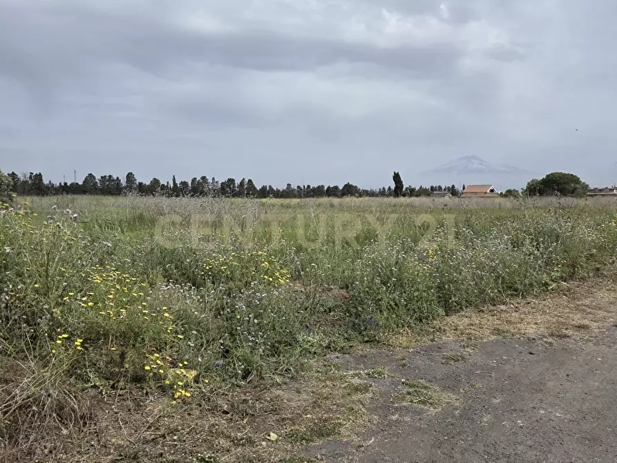 Immagine 2 di Terreno agricolo in vendita  in Via Cavallo Marino a Catania