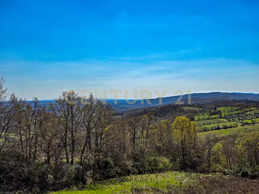 Immagine 7 di Rustico / casale in vendita  in poggio murella a Manciano