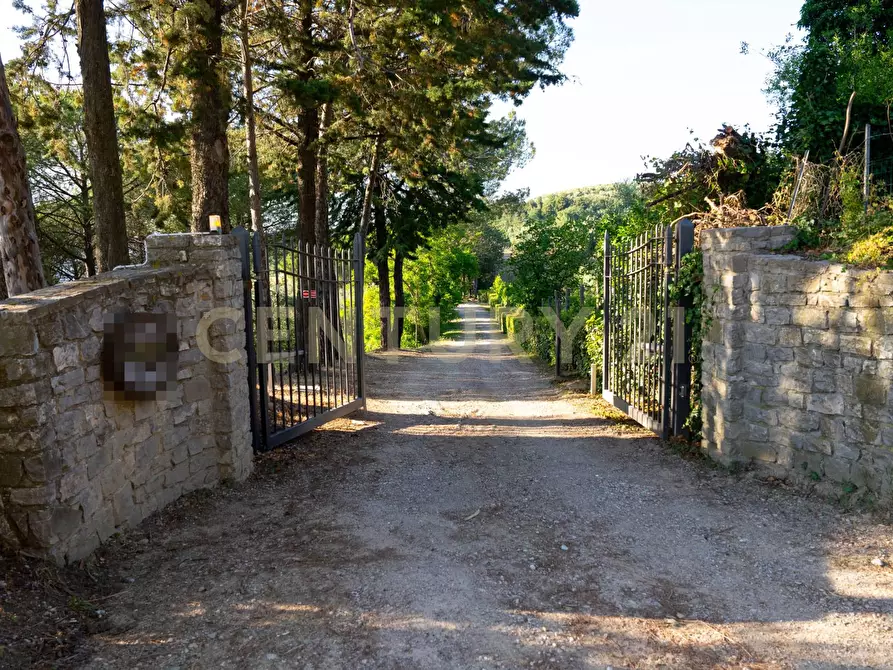 Immagine 2 di Rustico / casale in vendita  a Cinigiano
