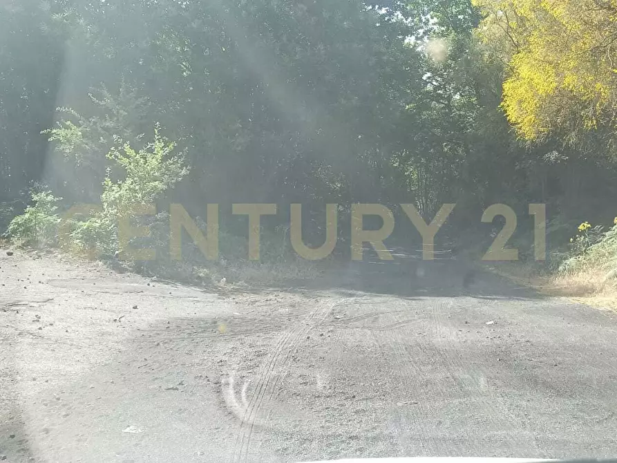 Immagine 2 di Terreno agricolo in vendita  in C.da Filiciusa a Biancavilla