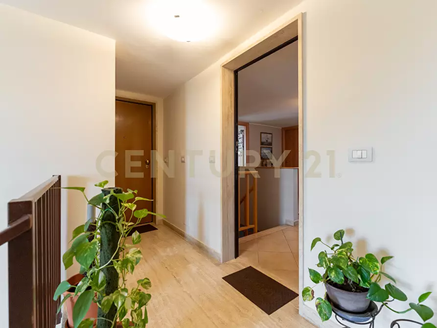 Immagine 30 di Pentalocale in vendita  in Via Acquedotto Greco 248 a Catania