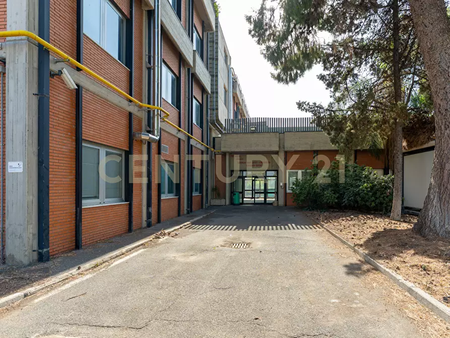 Immagine 7 di Attività artigianale in vendita  in Strada III Mimosa 14 a Catania