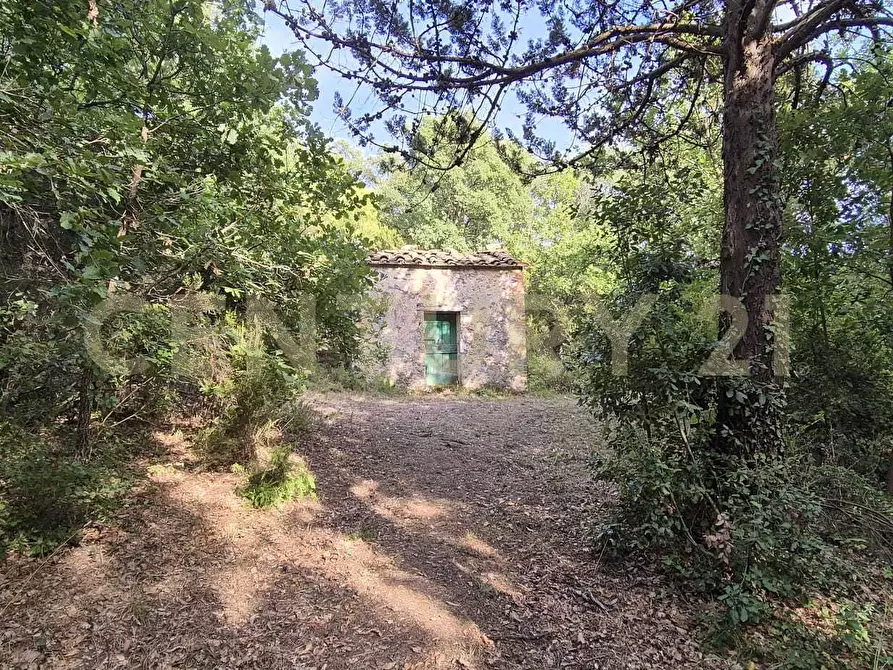 Immagine 1 di Rustico / casale in vendita  in località vignaccia a Civitella Paganico