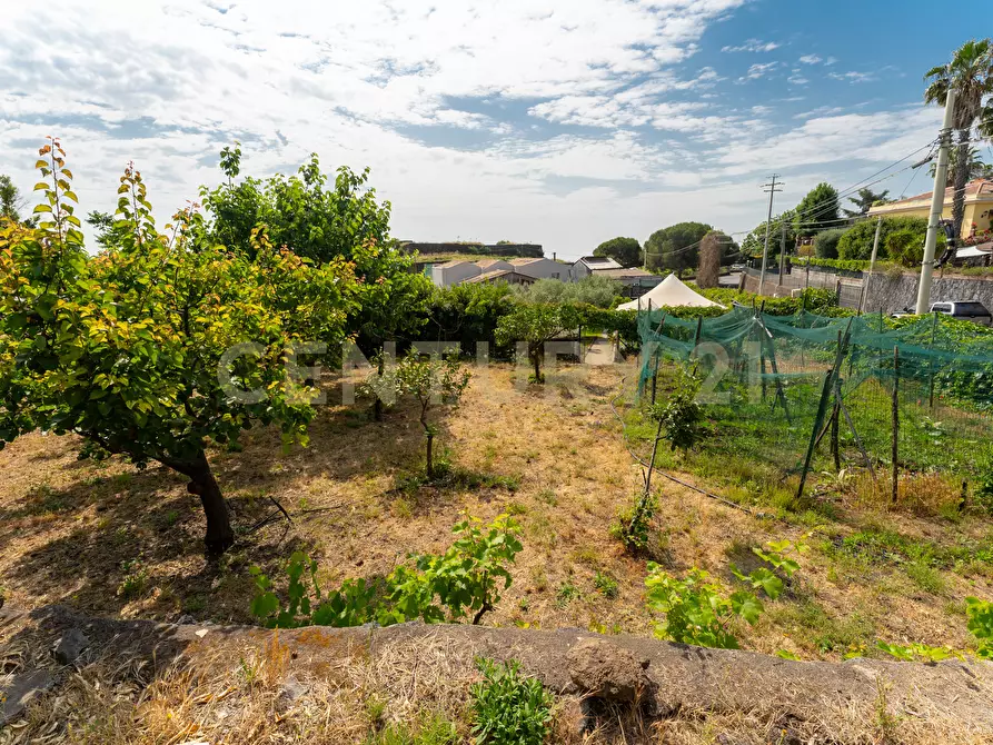 Immagine 32 di Villa in vendita  in Via Dietro Serra 2 a Viagrande
