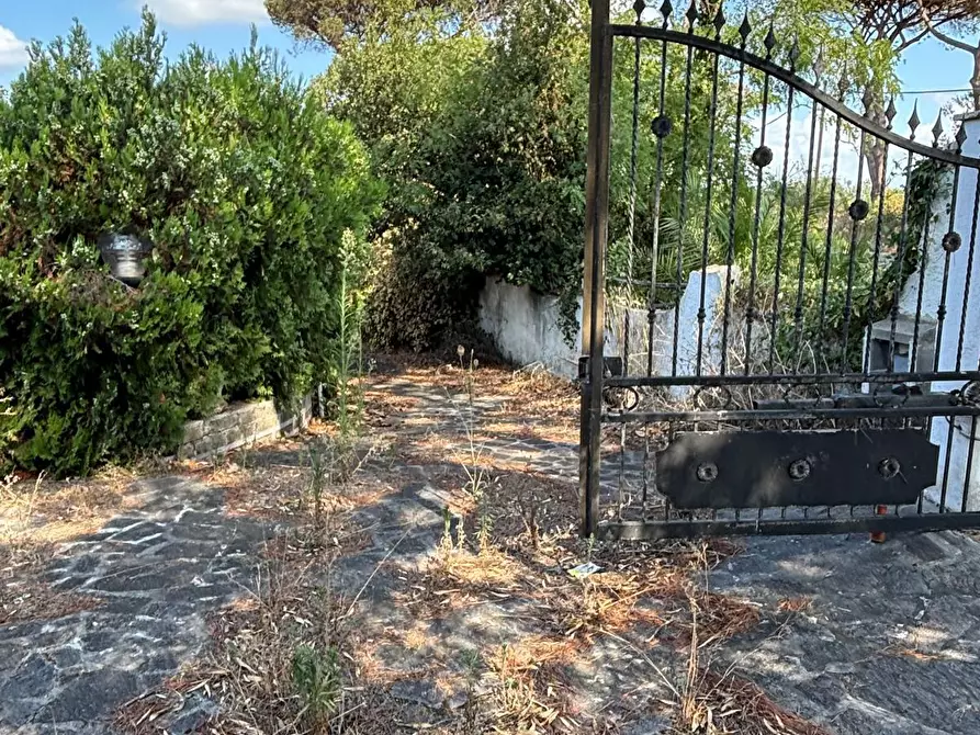 Immagine 9 di Villa in vendita  in via litoranea 528 a Sabaudia